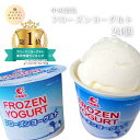 【送料無料】ギフト アイス フローズンヨーグルト 24個 中央製乳 豊橋 スイーツ 楽天ブラックフライデー クリスマス …