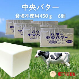 中央製乳 無塩バター 450g×6個 冷凍 国産 豊橋 中央バター ポンド 食塩不使用 業務用 バレンタイン