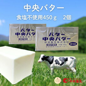 中央製乳 無塩バター 450g×2個 国産 豊橋 中央バター ポンド 食塩不使用 業務用 バレンタイン