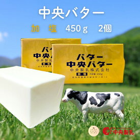 中央製乳 有塩バター 450g×2個 国産 豊橋 中央バター ポンド 加塩 業務用 送料無料
