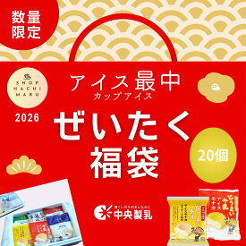 【送料無料】牛乳屋さんの特選アイス ぜいたく福袋 20個 中央製乳 国産 豊橋 新春 2026 初売