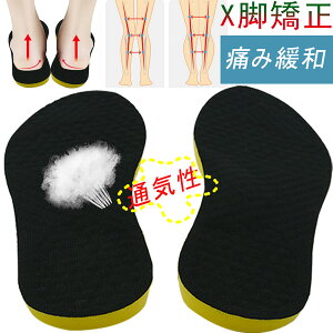 y5{|CgzXrpC\[_炩 ҋ OGT|[^[ ~Ռz̒ɂ݁EЂE̕Sy y܂~c{}bT[Wjpq Xr␳ 