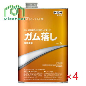 (P[X̔) ~bPw KƂ (1L×4{)