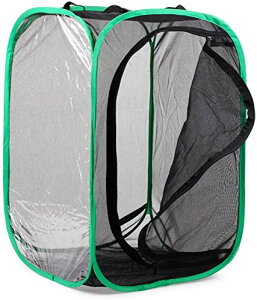 FFubN yDHseirennz甠 ܂ݒ P[W |bvAbvnEWO ʋC lbg 3F (Ε ubN)