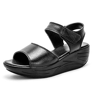 FFubN TCYF25.0 cm [Sunlane] D^i[XV[Y _fB[X T_ Xbp _CGbg r y p EH[LOV[Y Ōt ƌC ₷ Ȃ 
