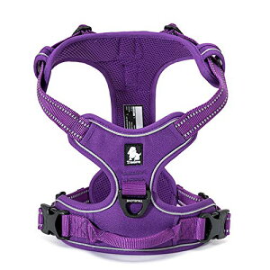 FFF TCYFM cocomall pn[lX p hbO ybgpi n[lX 3Mˍޗ P iC ^A^A^Ɍ ʋC ߉\ (M, F)