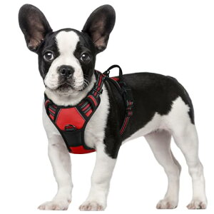 TCY: STCY (x 1) Rabbitgoo  n[lX ^ 5-15KG \tg 킢 p h~ SȂ TCY Ԕ Ȃ ʋC