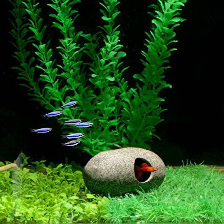 楽天市場 Kimlonton 隠れ家 アクアリウム オーナメント 装飾 水槽用オブジェ 金魚 熱帯魚 爬虫類 隠し場 水槽用飾り セラミック 石の水槽飾り インテリア おしゃれ 2つの洞窟 約11 X 8 X 5 8cm サンデーモーニング 楽天市場店