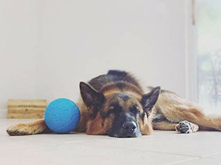 212円 ついに入荷 MoonZDゴム製の犬 おもちゃ ロープ ボール ペット 100%安全で無毒 頑丈な不朽の子犬 おもちゃ噛む 知育玩具 犬 歯磨き 攻撃 212円 ついに入荷 MoonZDゴム製の犬 おもちゃ ロープ ボール ペット 100%安全で無毒 頑丈な不朽の子犬 おもちゃ噛む 知育玩具 犬 歯磨き 攻撃