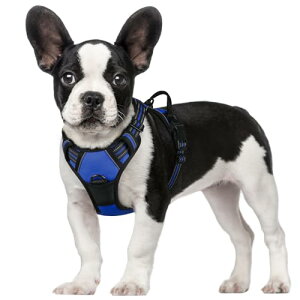 TCY: STCY (x 1) Rabbitgoo  n[lX ^ 5-15KG \tg 킢 p h~ SȂ TCY Ԕ Ȃ ʋC Pݖh~ U