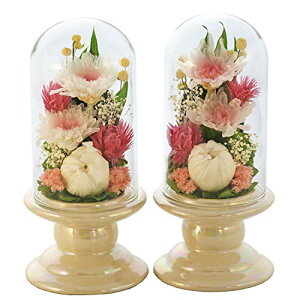 A[gtH[V[Y  *inj~j֋eglass y΃fUC2SETzsN vU[uht[