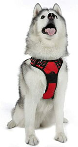 FFbh TCYFXLTCY (x 1) Rabbitgoo  n[lX ^ 34-57KG \tg 킢 p h~ SȂ TCY Ԕ Ȃ ʋC Pݖh~ U 