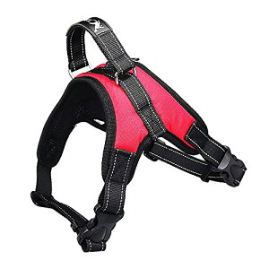 FFbh TCYFMTCY (x 1) pn[lX[_[Zbg   bV \tg Ȃ ʋC ߉\ h~ ^ ^ U/P/o| (M, bh)