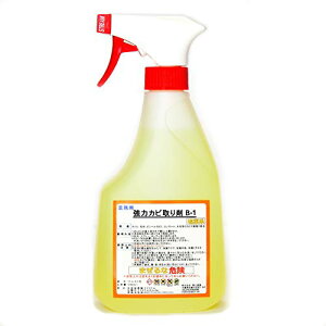 TCYF500~bg (x 1)  ̓Jr B-1 Ɩp ̓Xv[^Cv 500ml C  łȍJr