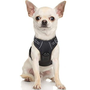 FFubN TCYFXSTCY (x 1) Rabbitgoo  n[lX^ 5-15KG \tg 킢 p h~ SȂ TCY Ԕ Ȃ ʋC Pݖh~ U