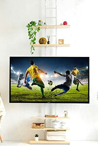 FFi` [RP] erX^h (˂) nC^Cv ]55^ (ǖʎ[) 60*s32*230-260cm er Ǌ񂹃erX^h i` RTTV-6032(WNWH2)