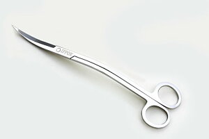 FFEF[u IPPON) g~O nT~ Mы ANAE eiX (EF[u) IPPONS