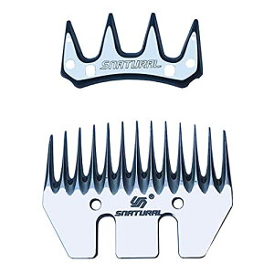 roJ r̖ъ dC͂ Xs[h\@6iXs[h 690W (roJ̑֐nZbg)