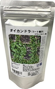 ԉc _CJhq(R[gq)100mLl (OhJo[p)