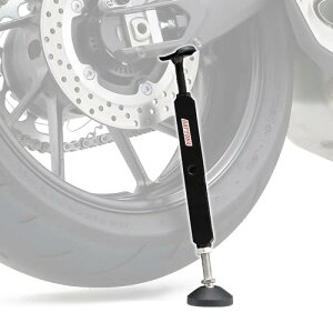 fCgi(Daytona) oCNp eiXX^h Ap L255*370mm C[W[tgAbvX^h 97411