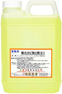 TCYF2000ml  ̓Jr B-1 Ɩp  lߑւ^Cv 2000ml C  łȍJr