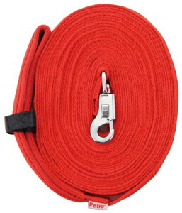 TCYF20m yeBI (Petio) p[h O[h ^p 20m