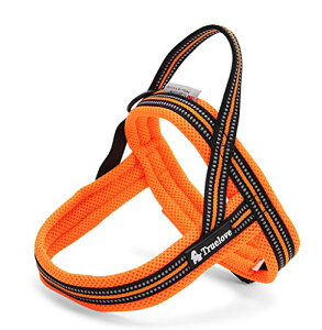 FFIW TCYFSTCY (x 1) J&C Paradise ȒP n[lX {KX p SȂ 3M lC ȒP v X|[c TRUELOVE (S, IW)