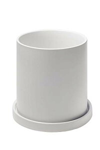 FFzCg TCYF10.6cm Ekirlin Aؔ 픫   󂯎Mt t ?F  v^[ A k  CeA   ϗtA 10.6cm 4 TCY/FI