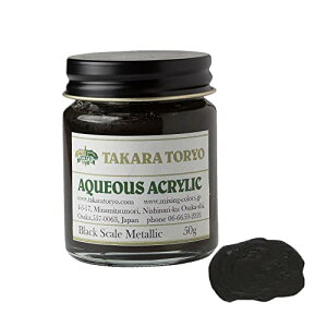 TCYF50g ACAyCg BlackScaleMetallic ubNXP[^bN (50g) ^Jh