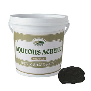 TCYF1kg ACAyCg BlackScaleMetallic ubNXP[^bN (1kg) ^Jh