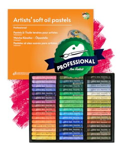 (48F) HASHI A[eBXgyѐƗpl̂ɖQȃ\tgICpXeAXPb` G G F 48ނ̃J[Zbgoil pastels For professionals