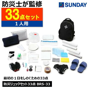 ACXI[} BRS-33 hЃbNZbg 33_ i1lp HiȂjubN h ЊQ hЗpi 