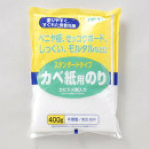 ATqy X^_[h^CvJxp̂ 400G ǎp̂ Jr~ߍܓ CeAEQ Ǒ