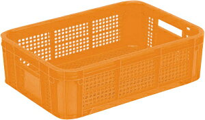 z[Rei 25M IW ړI [ ^ ۊ _Ǝ npRei