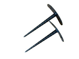 V[gs 50P V[g} Œ _ K[fjO V[g _Ǝ _|E}`