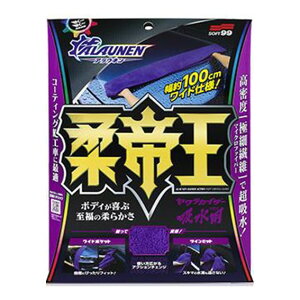 \tg99 JCU[ zpNX ԗpNX J[pi ԗpi