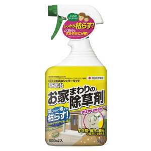 ZFw| ގV[Ch 1000ml 