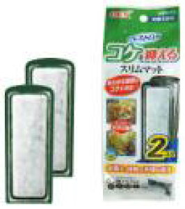 WFbNX xXgJ RP}X}bg 2R RP} ybgpi Ϗ܋pi