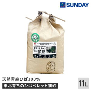 k炿̂Ђ΃ybgL 11L X Ђ100 VR X Ђ L R ybgpi Lpi L