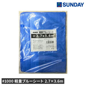 1000 yʃu[V[g 2.7×3.6m h AEghA W[V[g hЗpi u[V[gEƃV[g