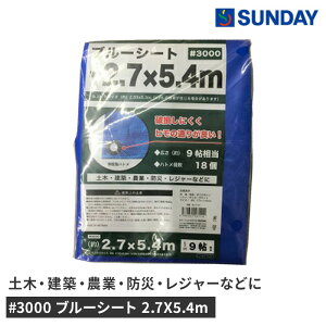 3000 u[V[g 2.7X5.4m h AEghA W[V[g 9 hЗpi u[V[gEƃV[g