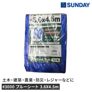 3000 �u���[�V�[�g 3.6X4.5m �h�� �A�E�g�h�A ���W���[�V�[�g ��10������ �h�Зp�i �u���[�V�[�g�E��ƃV�[�g