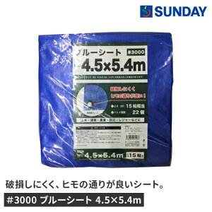 3000 u[V[g 4.5×5.4m h AEghA W[V[g 15 hЗpi u[V[gEƃV[g