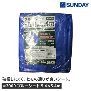 3000 u[V[g 5.4×5.4m h AEghA W[V[g 18 hЗpi u[V[gEƃV[g