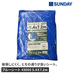 u[V[g #3000 5.4X7.2m h AEghA W[V[g 24 hЗpi u[V[gEƃV[g