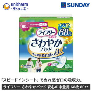 jE`[ Ct[ ₩pbh S̒ʗp 68 80cc APA pbh L pՕi VjApi