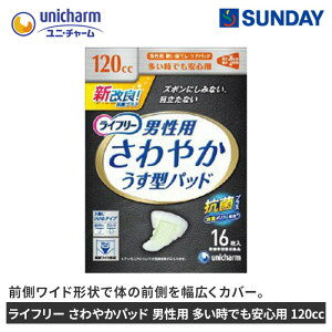 jE`[ Ct[ ₩pbh jp łSp 120cc 16 pbh R L pՕi VjApi