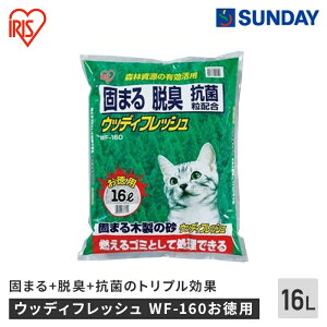 ACXI[} EbfBtbV WF-160p 16L lR ؐ ł܂ EL R ybgpi Lpi L