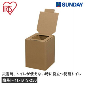 ACXI[} ȈՃgC BTS-250 ЊQ 펞 _{[ hЗpi