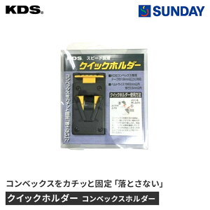 ebNKDS RxbNXz_[ QH-01 NCbNz_[ KDSRxbNXp W[  v ƍH H RxbNX